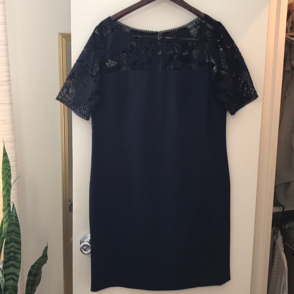 Ann Taylor Navy Sheath Dress with Lace Detailing